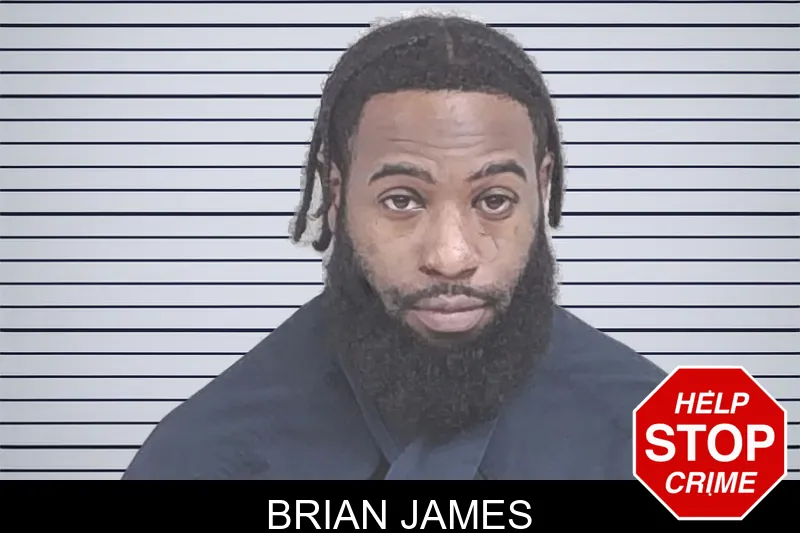 Brian James mugshot – Lowndes County , Georgia Brian James mugshot
