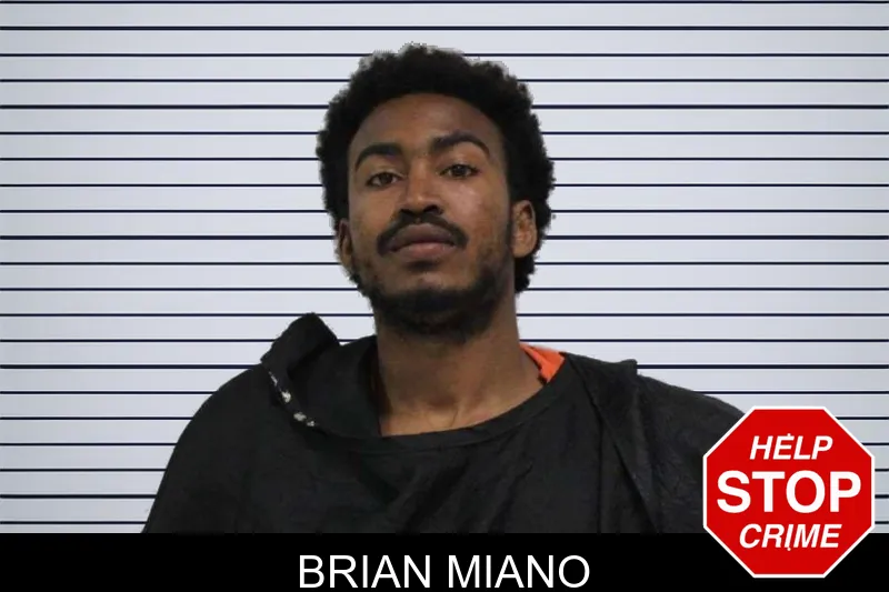 Brian Miano mugshot