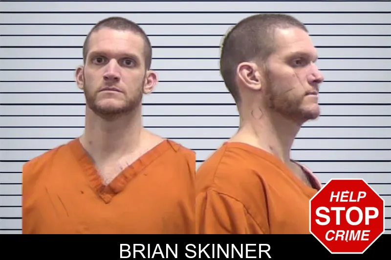 Brian Skinner mugshot
