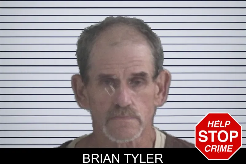 Brian Tyler mugshot – Brantley County , Georgia Brian Tyler mugshot