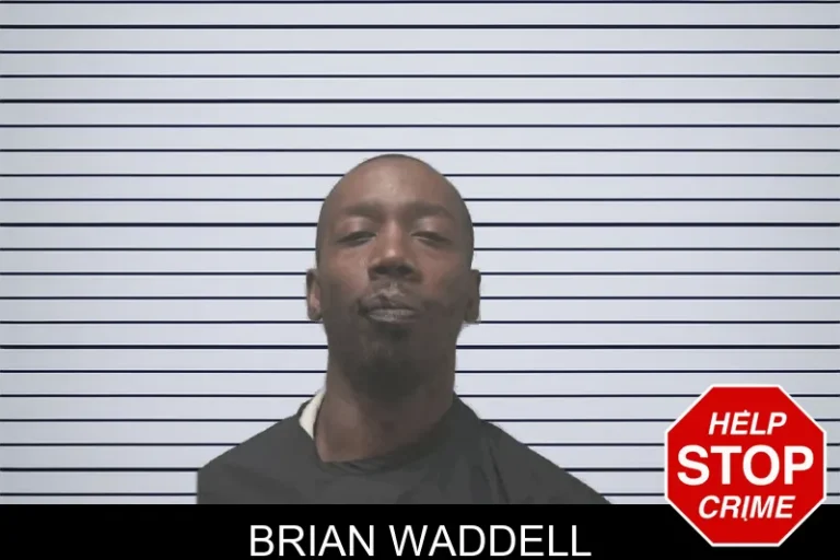 Brian Waddell mugshot – Coweta County , Georgia Brian Waddell