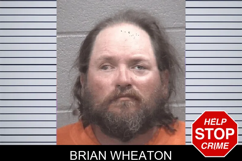 Brian Wheaton mugshot