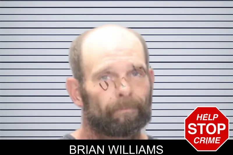 Brian Williams mugshot