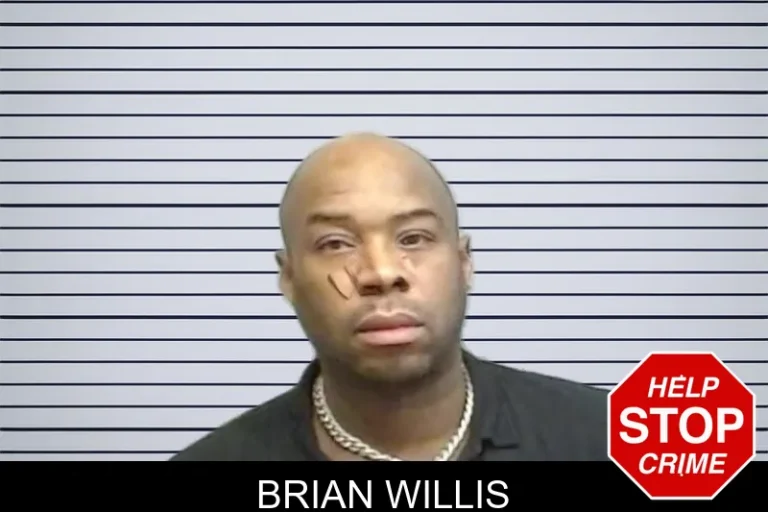 Brian Willis