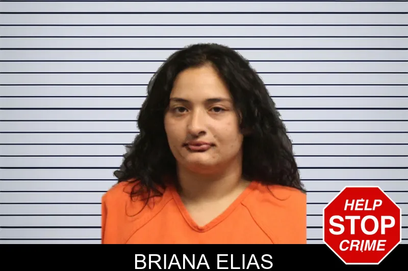 Briana Elias mugshot – Lumpkin County , Georgia Briana Elias mugshot