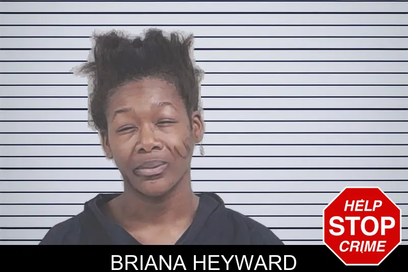 Briana Heyward mugshot