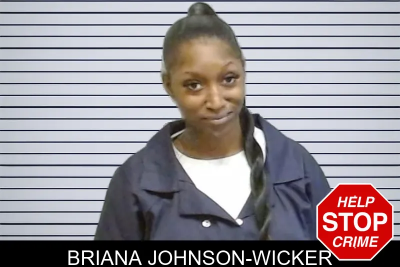 Briana Johnson-Wicker mugshot
