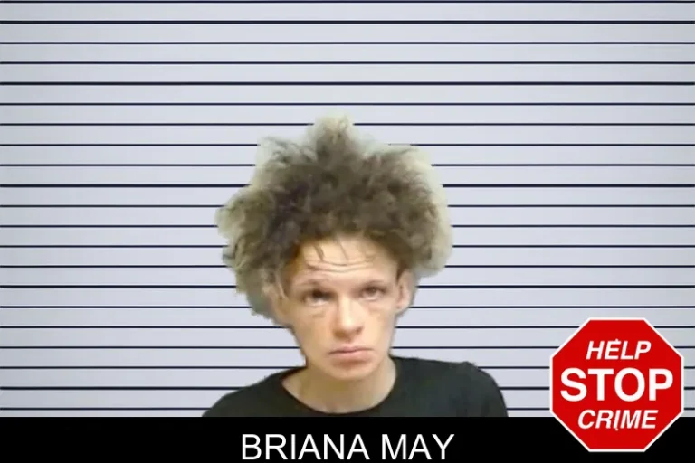 Briana May