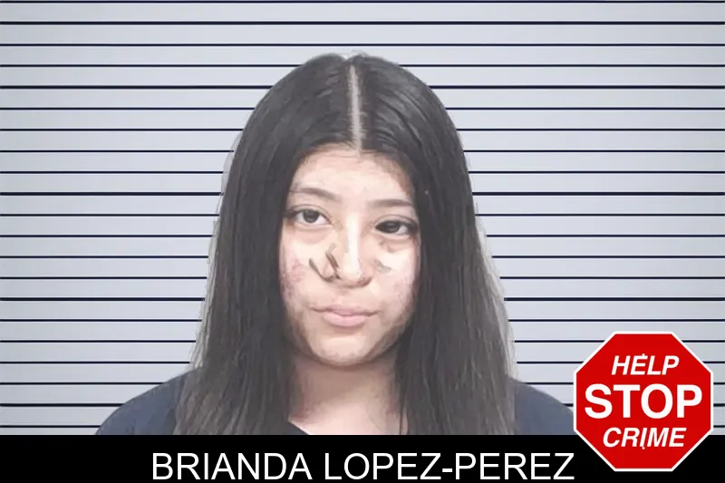 Brianda Lopez-Perez mugshot