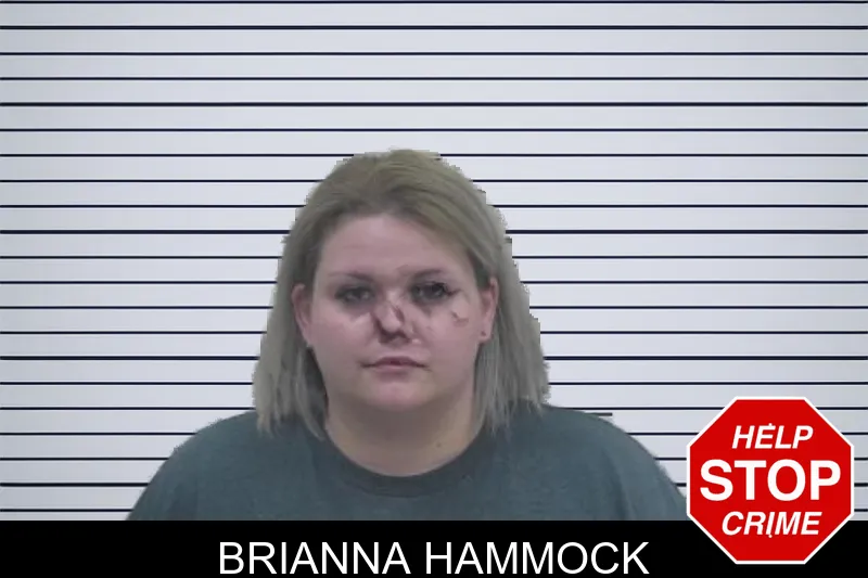 Brianna Hammock mugshot