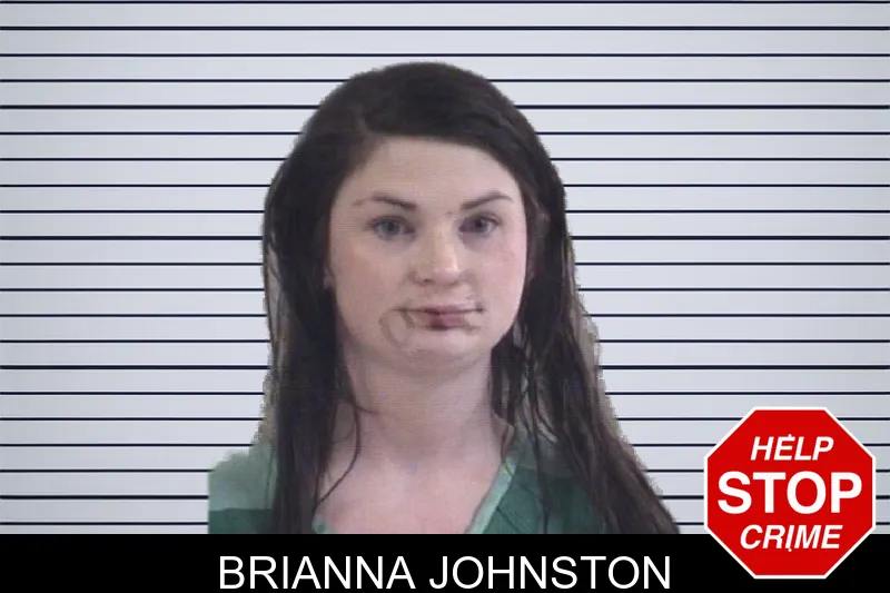 Brianna Johnston mugshot