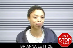 Brianna Lettice mugshot