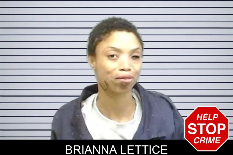Brianna Lettice mugshot – Fulton County , Georgia Brianna Lettice mugshot