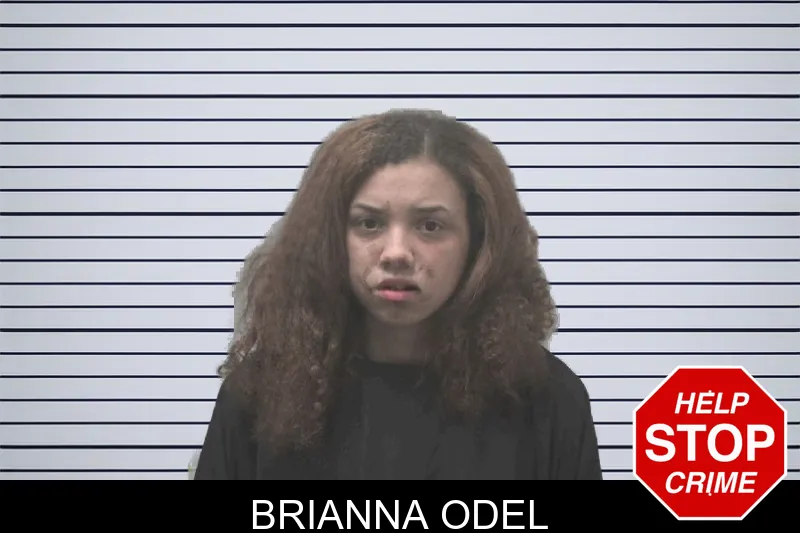 Brianna Odel mugshot
