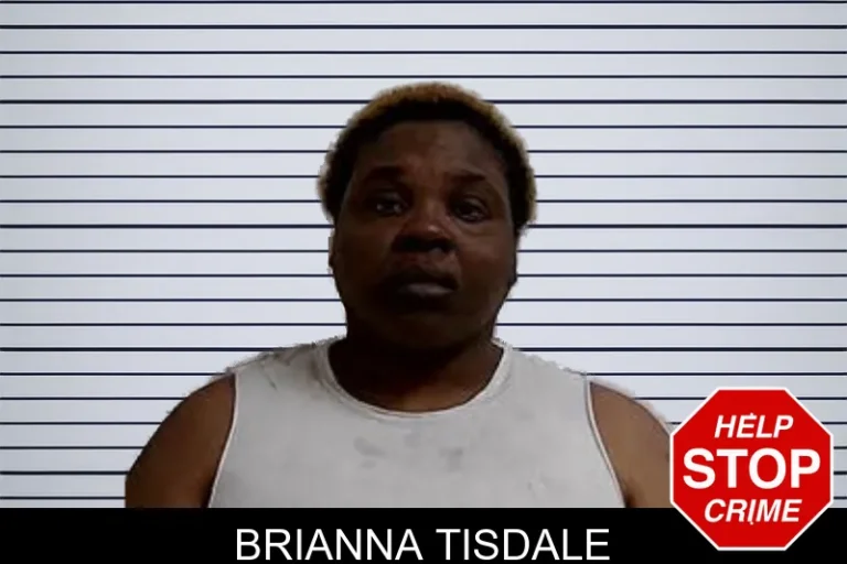 Brianna Tisdale mugshot – Decatur County , Georgia Brianna Tisdale
