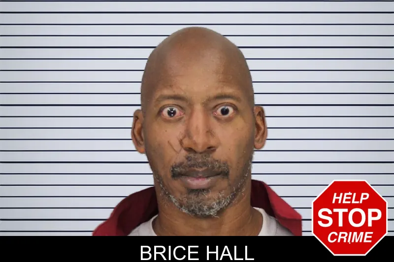 Brice Hall mugshot – Cobb County , Georgia Brice Hall mugshot