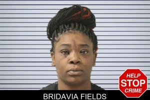 Bridavia Fields mugshot