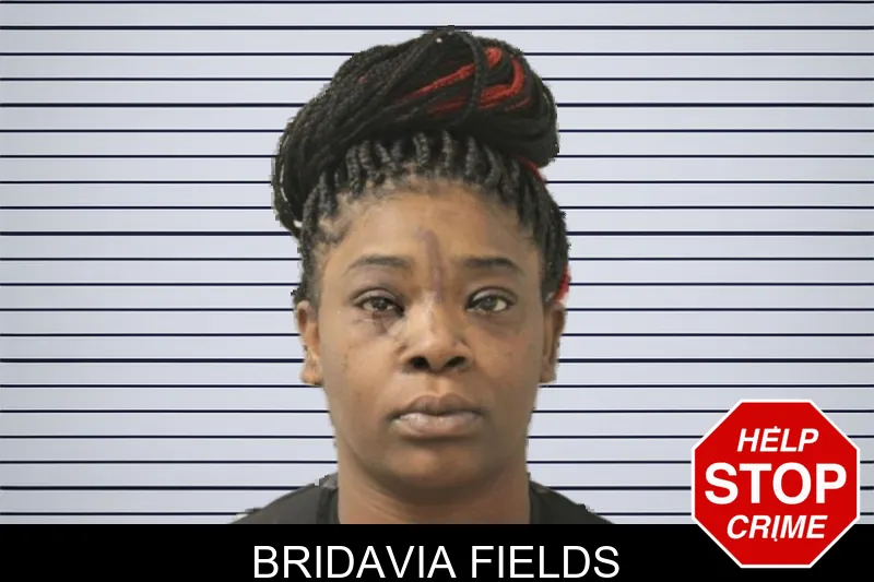 Bridavia Fields mugshot