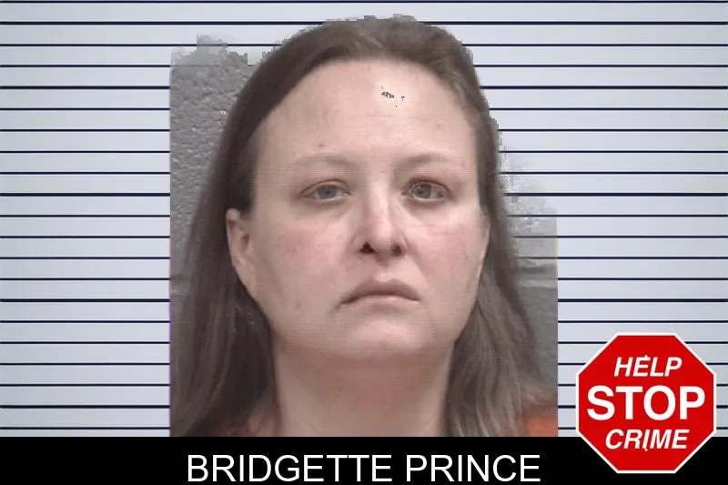 Bridgette Prince mugshot – Columbia County , Georgia Bridgette Prince mugshot
