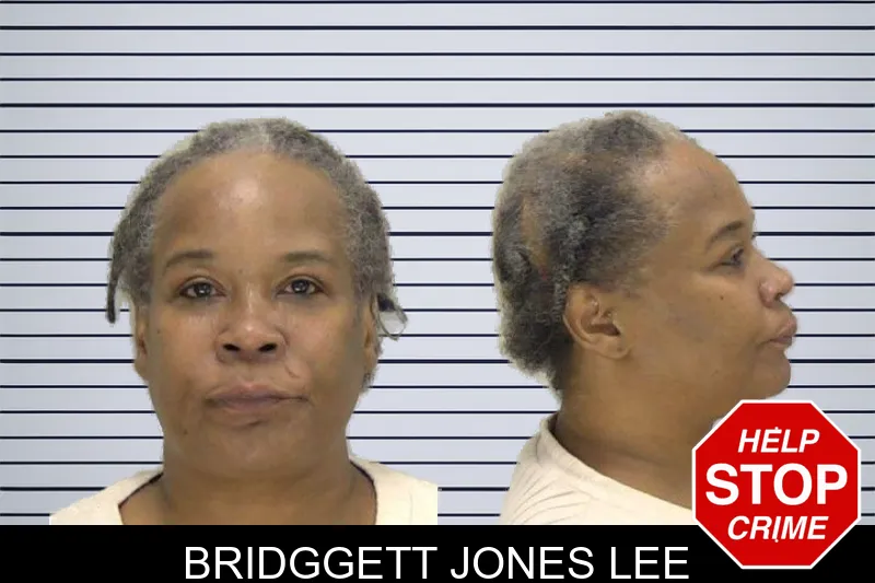 Bridggett Jones Lee mugshot