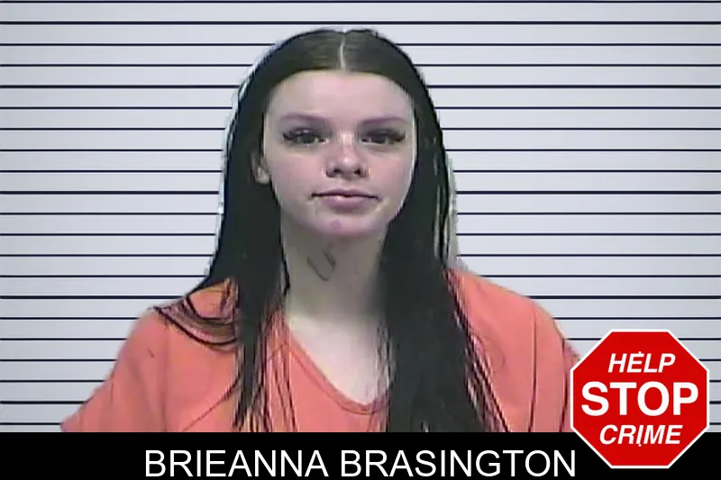 Brieanna Brasington mugshot – Dawson County , Georgia Brieanna Brasington mugshot
