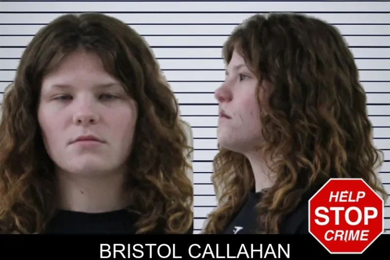 Bristol Callahan