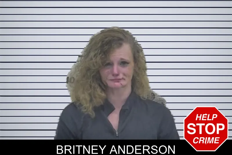 Britney Anderson mugshot