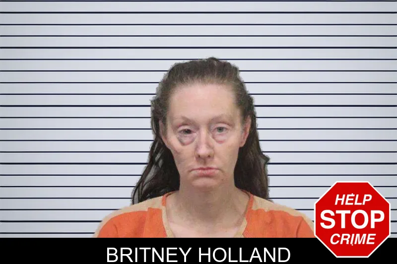Britney Holland mugshot