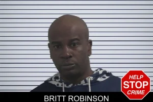 Britt Robinson mugshot