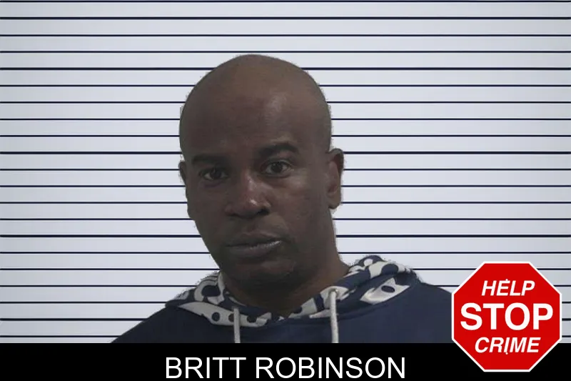 Britt Robinson mugshot