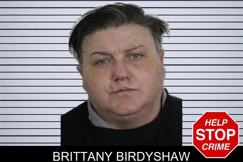 Brittany Birdyshaw mugshot