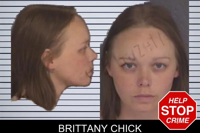 Brittany Chick mugshot – Barrow County , Georgia Brittany Chick mugshot