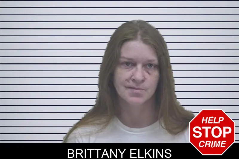 Brittany Elkins mugshot
