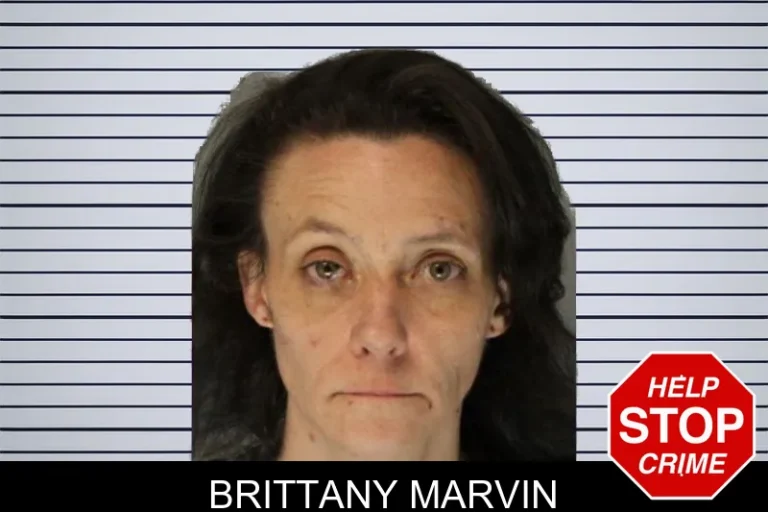 Brittany Marvin mugshot β Hall County , Georgia Brittany Marvin