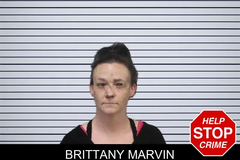 Brittany Marvin mugshot – White County , Georgia Brittany Marvin mugshot