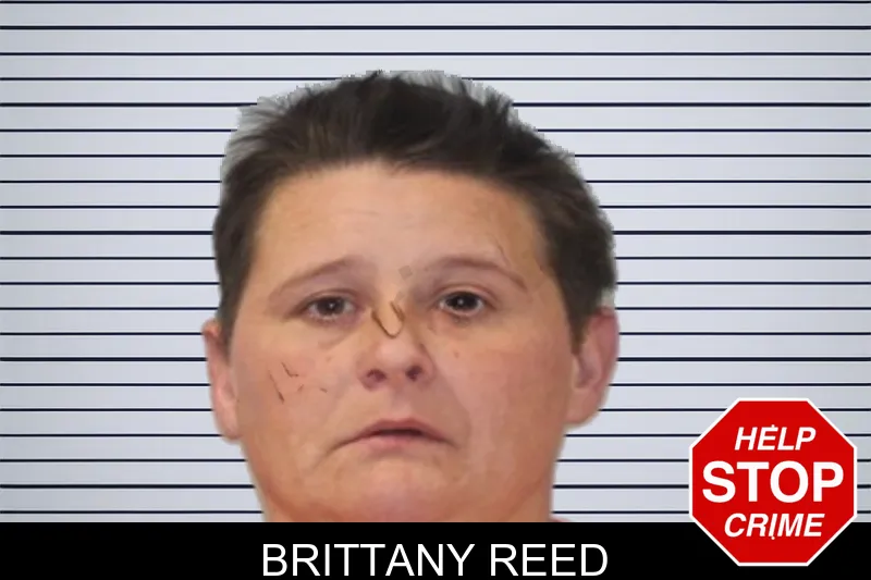Brittany Reed mugshot