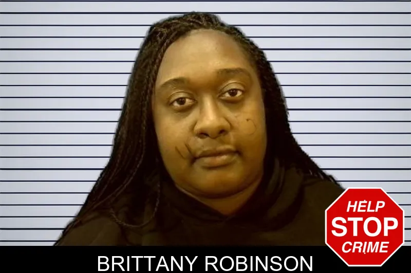 Brittany Robinson mugshot