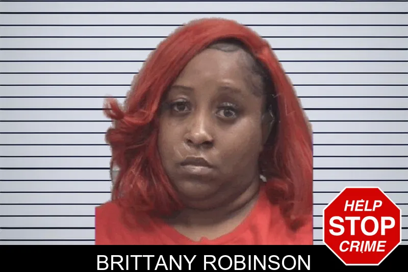 Brittany Robinson mugshot