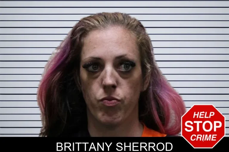 Brittany Sherrod mugshot – Haralson County , Georgia Brittany Sherrod