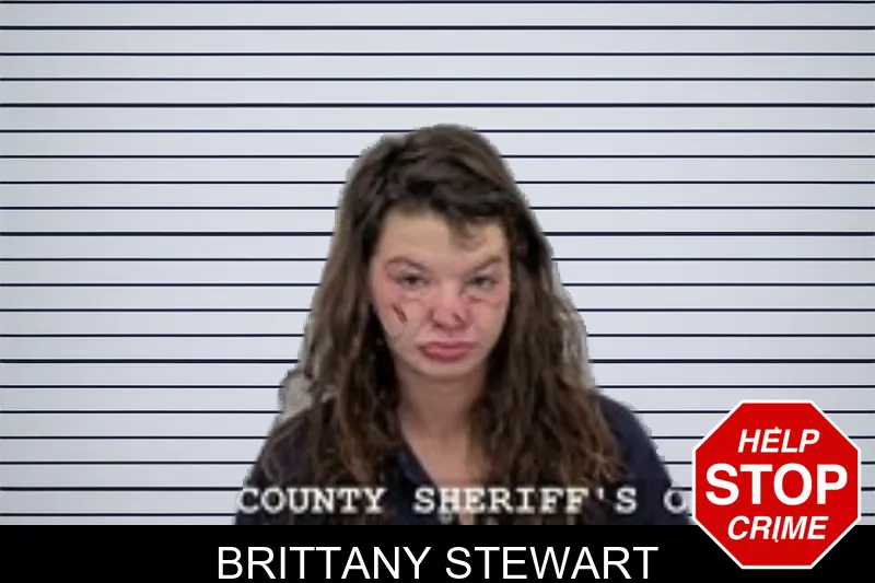 Brittany Stewart mugshot – Walton County , Georgia Brittany Stewart mugshot