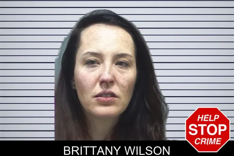 Brittany Wilson mugshot – Cherokee County , Georgia Brittany Wilson