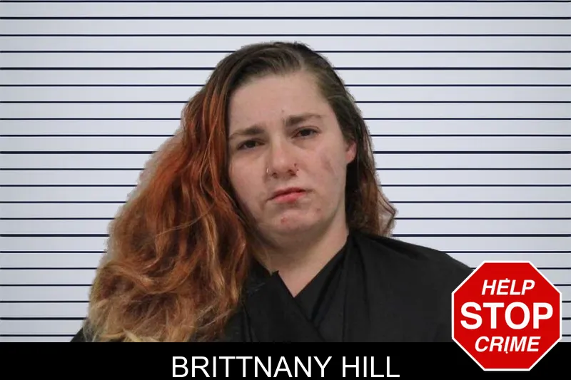 Brittnany Hill mugshot