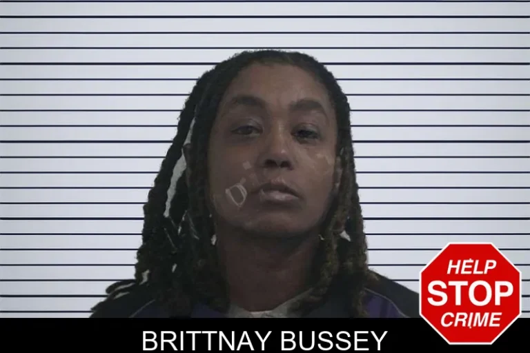 Brittnay Bussey mugshot – McDuffie County , Georgia Brittnay Bussey