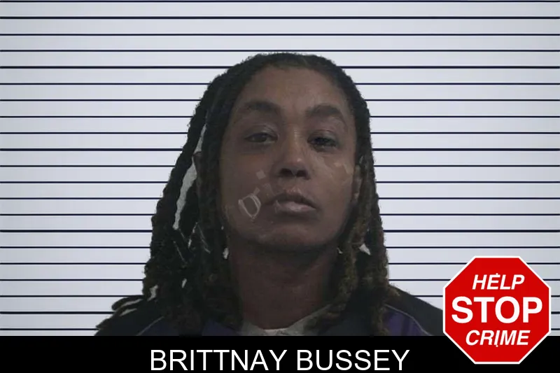 Brittnay Bussey mugshot – McDuffie County , Georgia Brittnay Bussey mugshot
