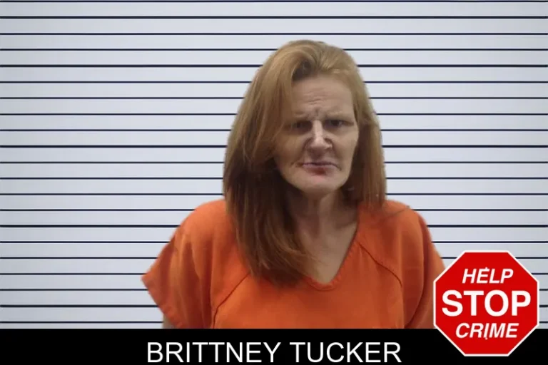 Brittney Tucker mugshot – Pickens County , Georgia Brittney Tucker
