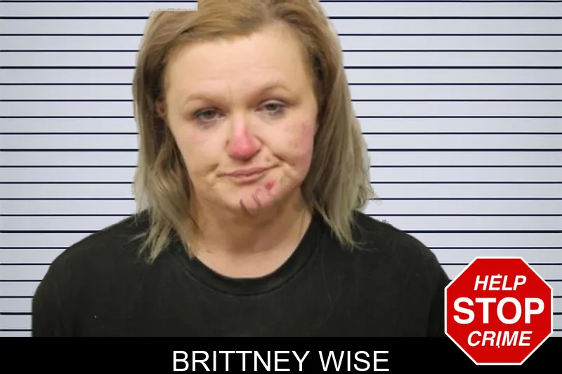 Brittney Wise mugshot