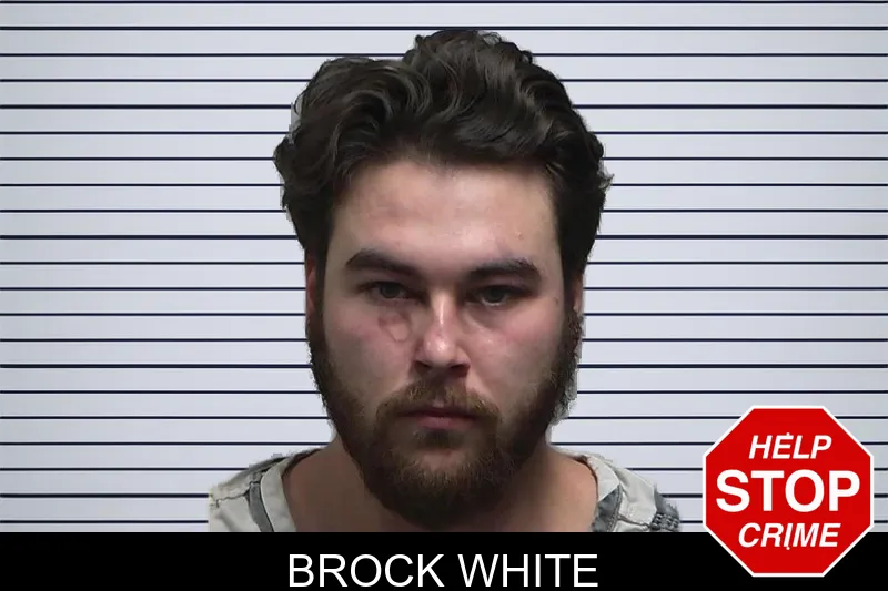 Brock White mugshot