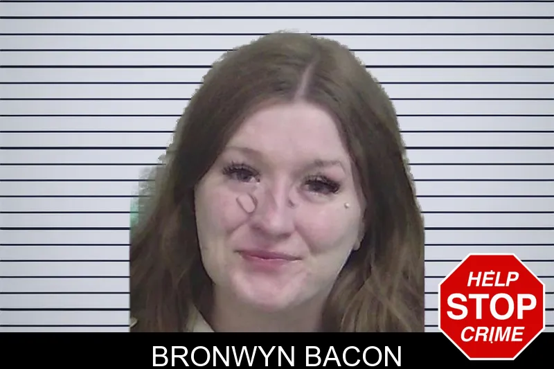 Bronwyn Bacon mugshot – Wayne County , Georgia Bronwyn Bacon mugshot