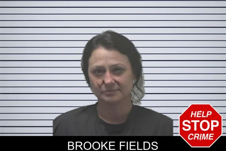 Brooke Fields mugshot – Coweta County , Georgia Brooke Fields