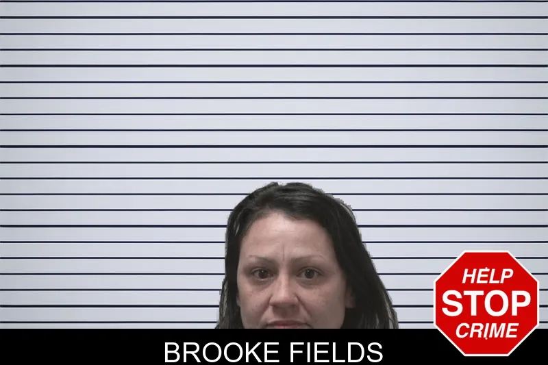 Brooke Fields mugshot – Coweta County , Georgia Brooke Fields mugshot